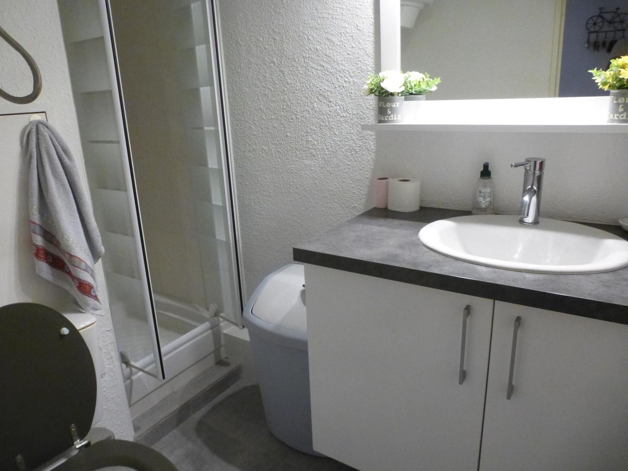 Ideal Entre Etang Commerces Et Animation Apartment *